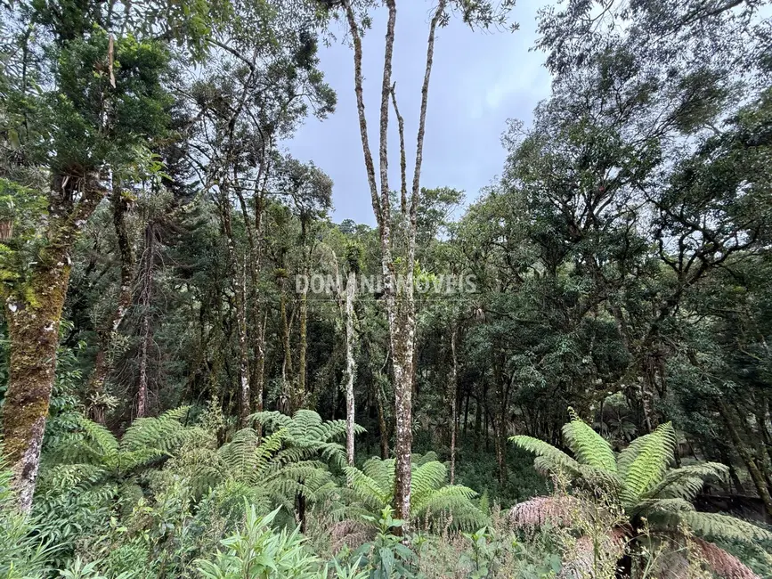 Foto 6 de Terreno / Lote à venda, 1380m2 em Campos Do Jordao - SP