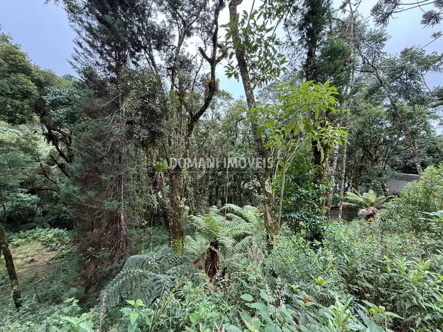 Foto 3 de Terreno / Lote à venda, 1380m2 em Campos Do Jordao - SP