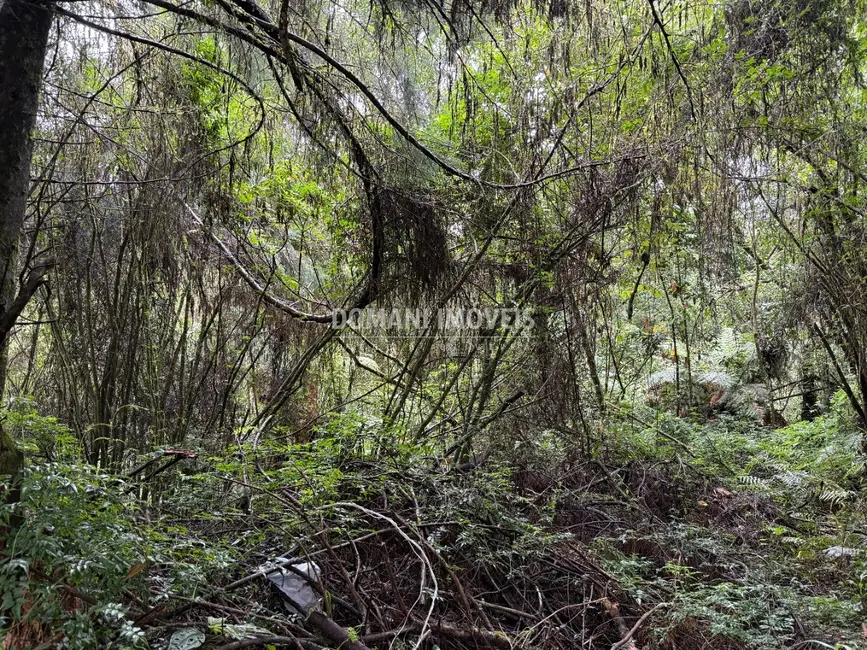 Foto 4 de Terreno / Lote à venda, 1140m2 em Campos Do Jordao - SP