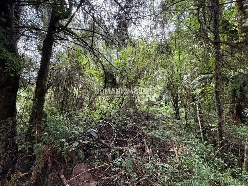 Foto 5 de Terreno / Lote à venda, 1140m2 em Campos Do Jordao - SP