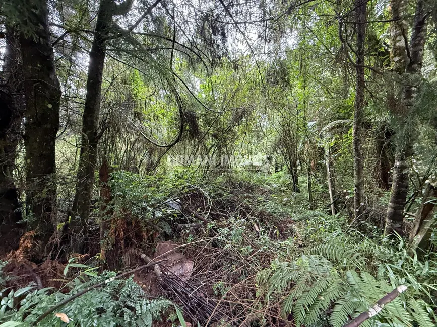 Foto 1 de Terreno / Lote à venda, 1140m2 em Campos Do Jordao - SP