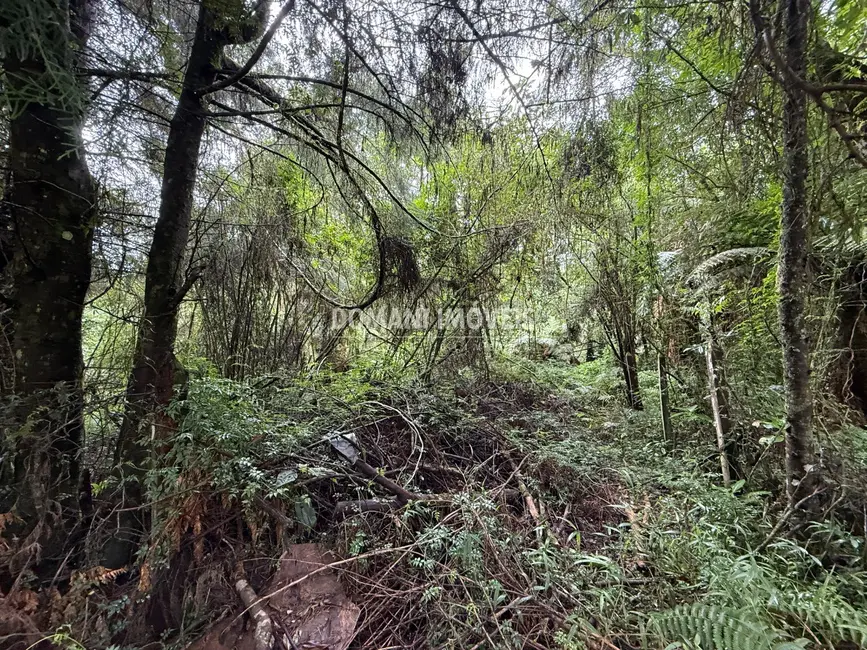 Foto 7 de Terreno / Lote à venda, 1140m2 em Campos Do Jordao - SP