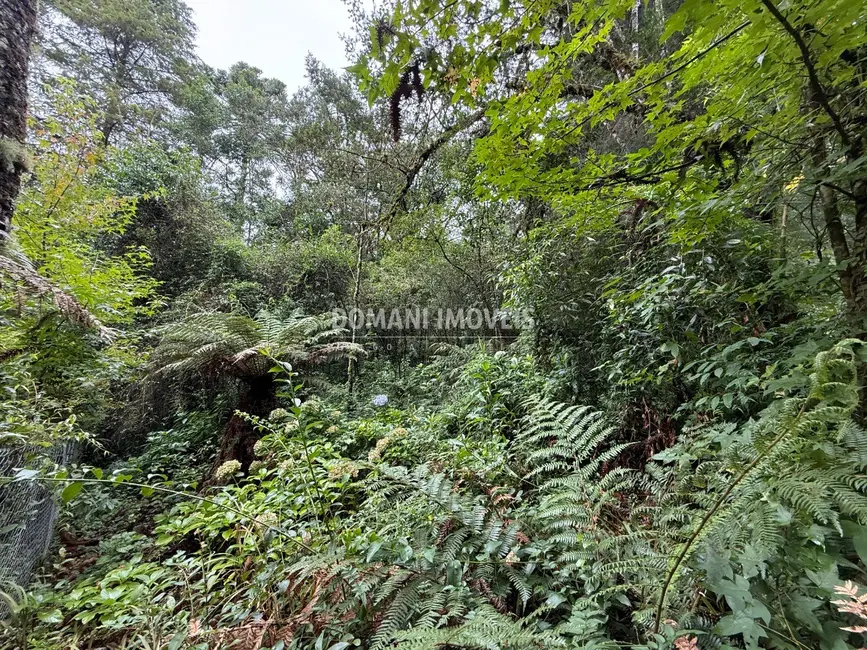 Foto 9 de Terreno / Lote à venda, 1140m2 em Campos Do Jordao - SP