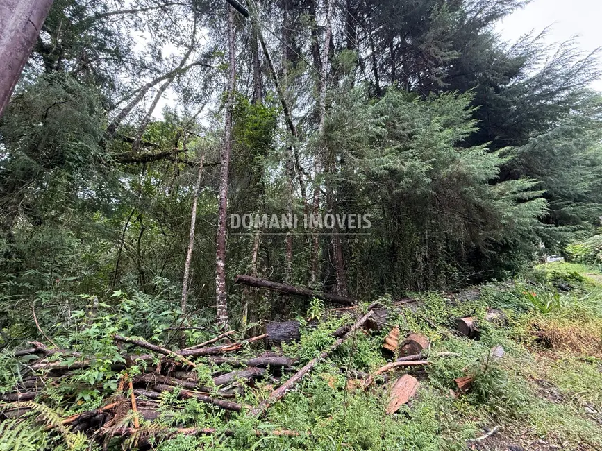 Foto 2 de Terreno / Lote à venda, 1140m2 em Campos Do Jordao - SP