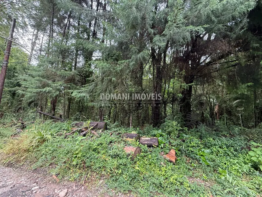 Foto 6 de Terreno / Lote à venda, 1140m2 em Campos Do Jordao - SP