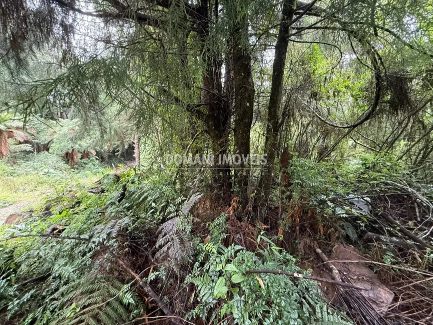 Foto 3 de Terreno / Lote à venda, 1140m2 em Campos Do Jordao - SP
