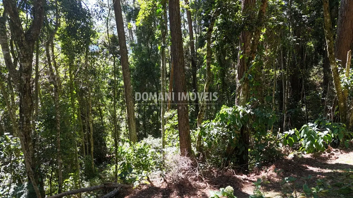 Foto 9 de Terreno / Lote à venda em Campos Do Jordao - SP