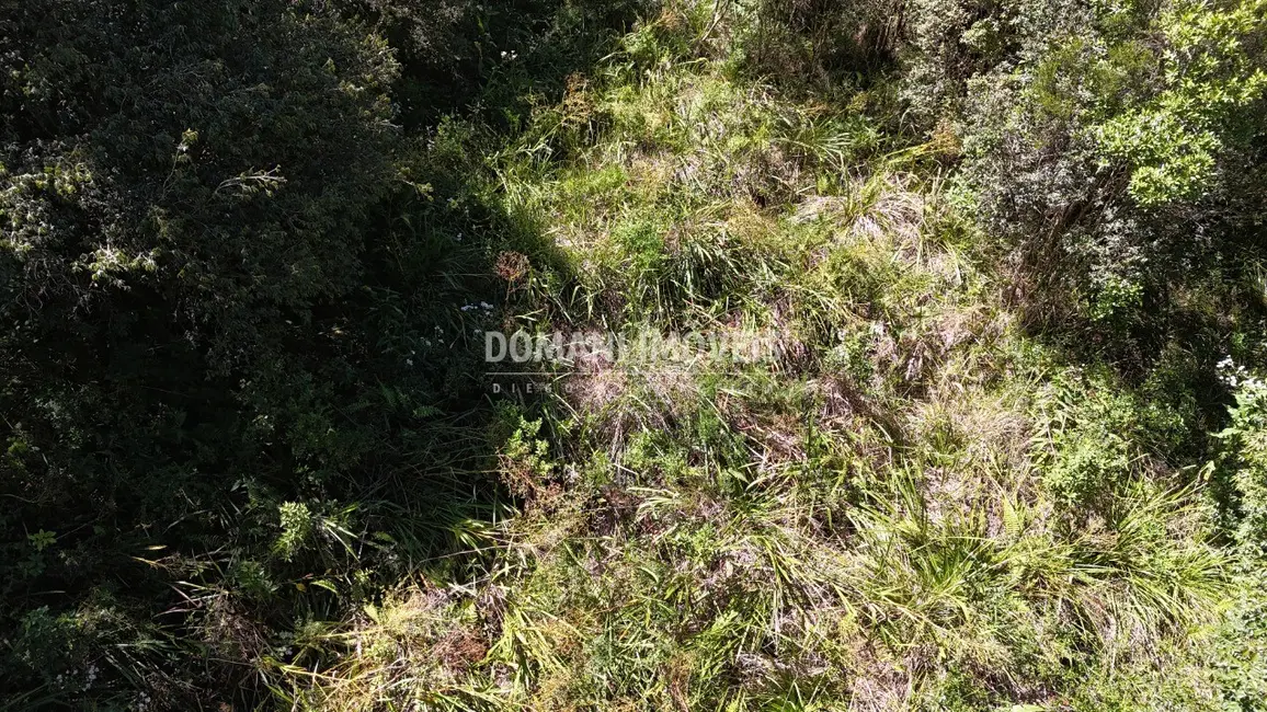Foto 3 de Terreno / Lote à venda, 1120m2 em Campos Do Jordao - SP