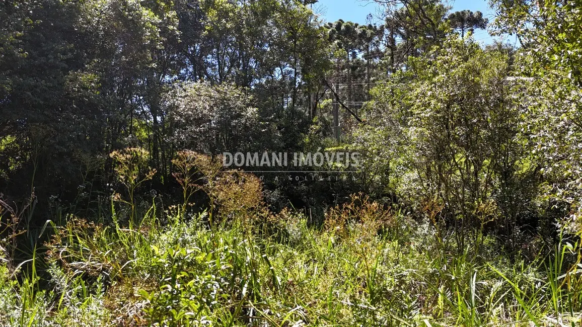 Foto 8 de Terreno / Lote à venda, 1120m2 em Campos Do Jordao - SP