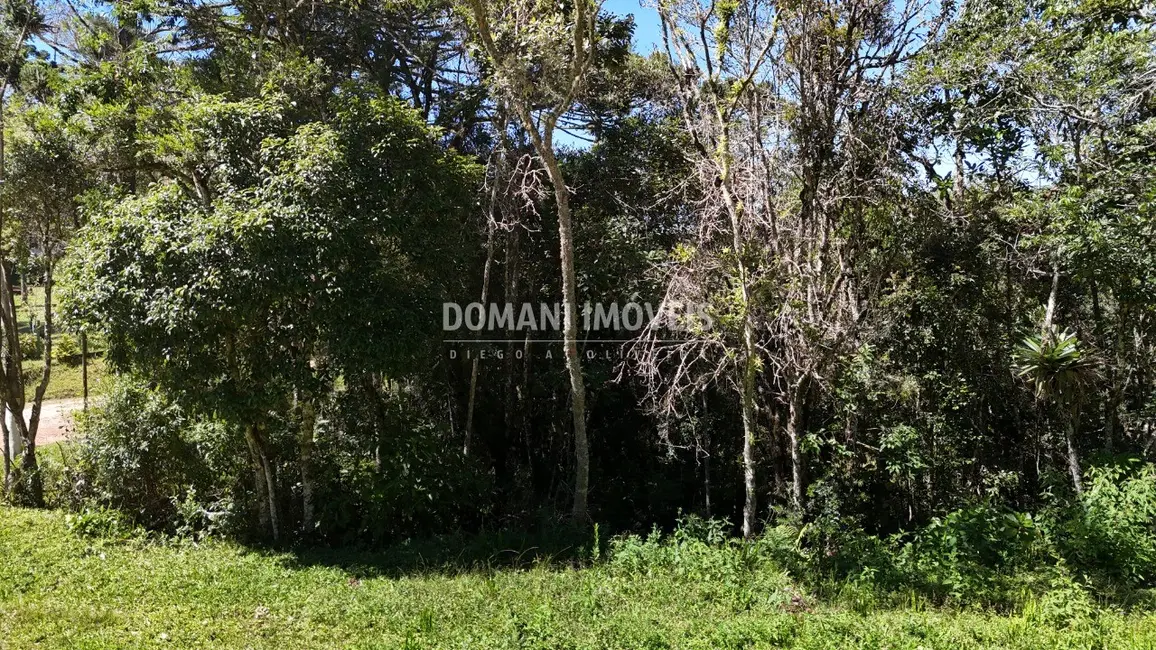 Foto 6 de Terreno / Lote à venda, 1120m2 em Campos Do Jordao - SP