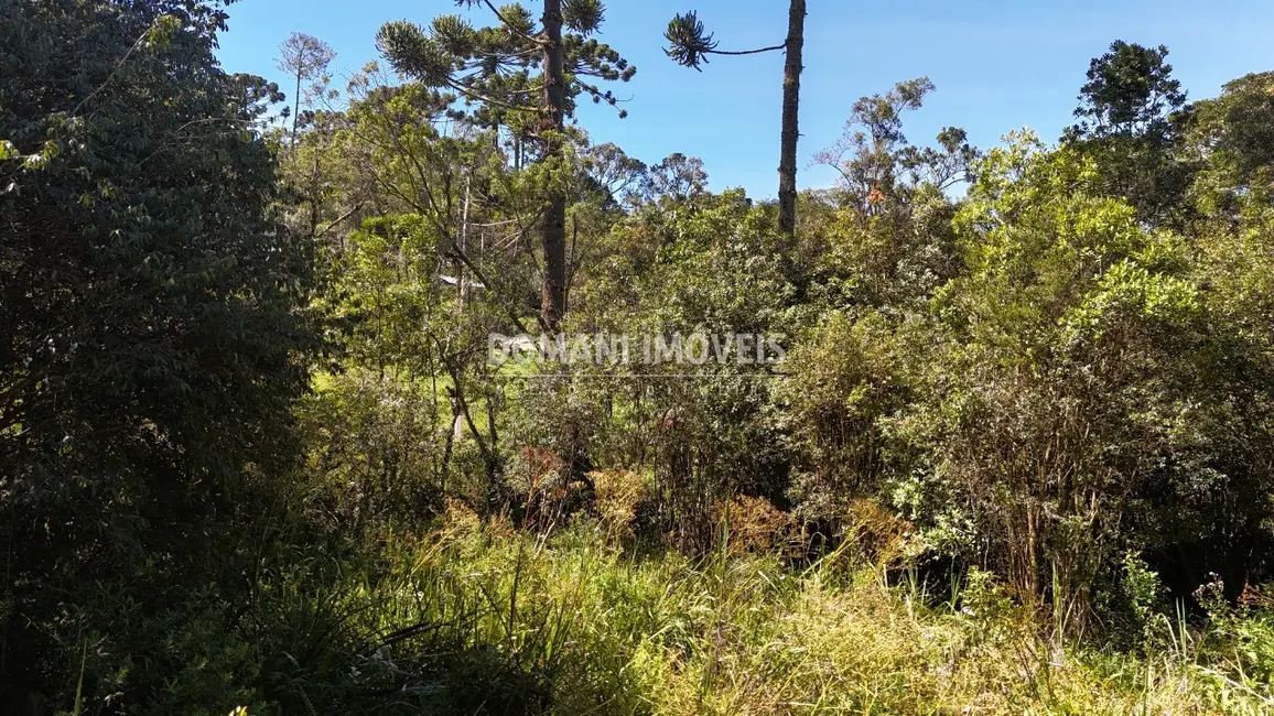 Foto 5 de Terreno / Lote à venda, 1120m2 em Campos Do Jordao - SP