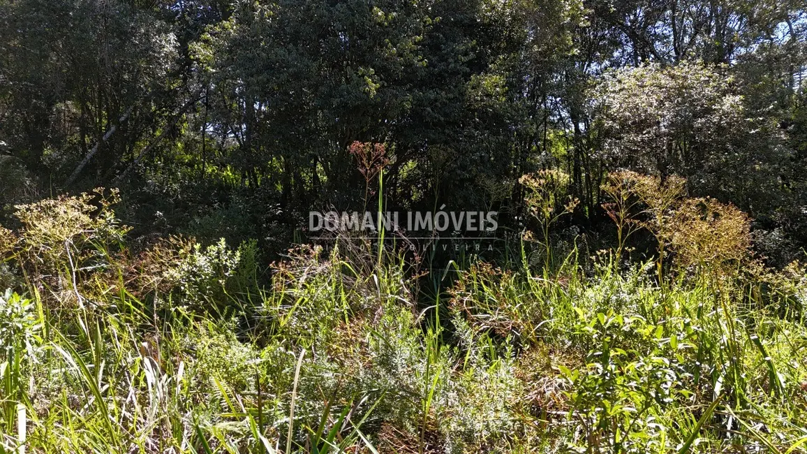 Foto 4 de Terreno / Lote à venda, 1120m2 em Campos Do Jordao - SP