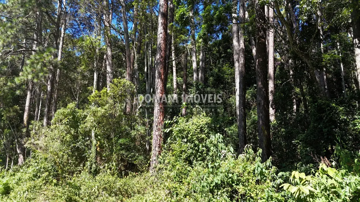 Foto 2 de Terreno / Lote à venda, 1550m2 em Campos Do Jordao - SP