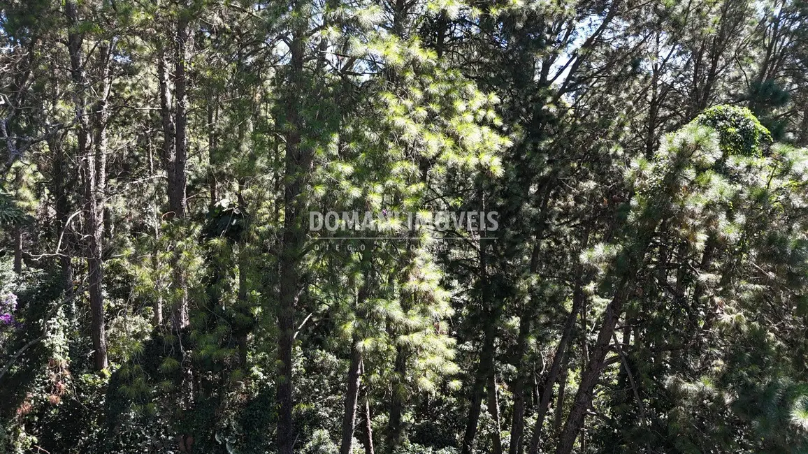 Foto 4 de Terreno / Lote à venda, 1550m2 em Campos Do Jordao - SP