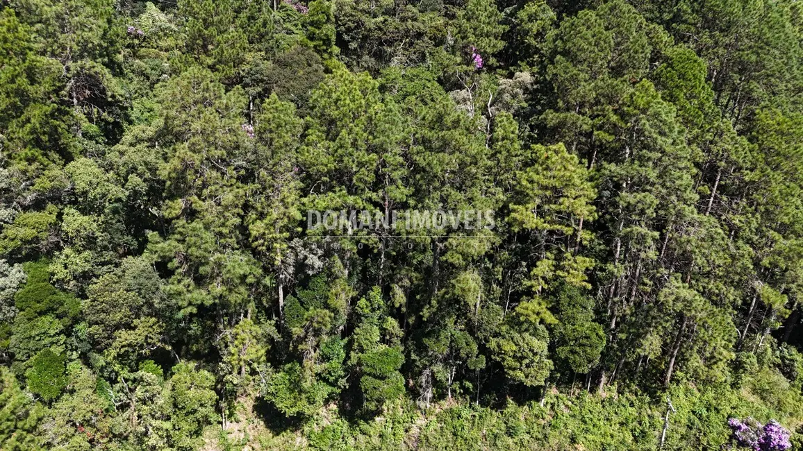 Terreno / Lote à venda, 1200m2 em Campos Do Jordao - SP - imagem 3 Foto 3 de Terreno / Lote à venda, 1200m2 em Campos Do Jordao - SP