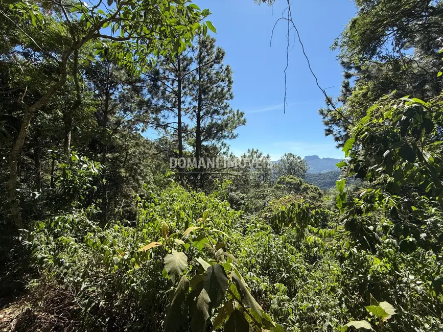 Terreno / Lote à venda, 1200m2 em Campos Do Jordao - SP - imagem 4 Foto 4 de Terreno / Lote à venda, 1200m2 em Campos Do Jordao - SP