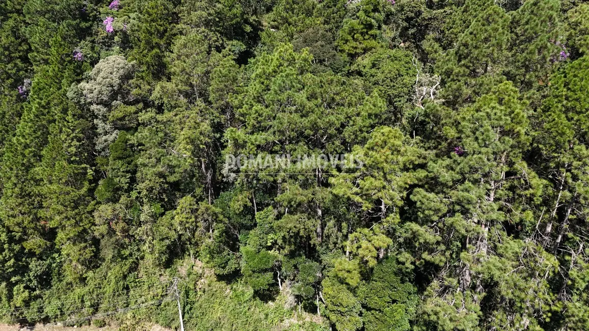 Terreno / Lote à venda, 1200m2 em Campos Do Jordao - SP - imagem 7 Foto 7 de Terreno / Lote à venda, 1200m2 em Campos Do Jordao - SP