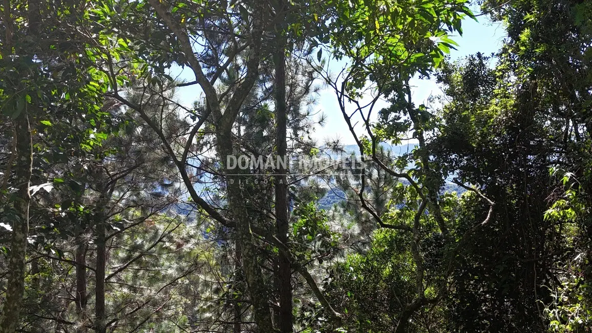 Foto 8 de Terreno / Lote à venda, 1030m2 em Campos Do Jordao - SP