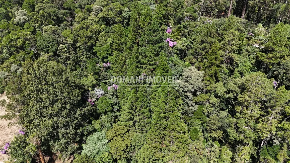 Foto 9 de Terreno / Lote à venda, 1030m2 em Campos Do Jordao - SP