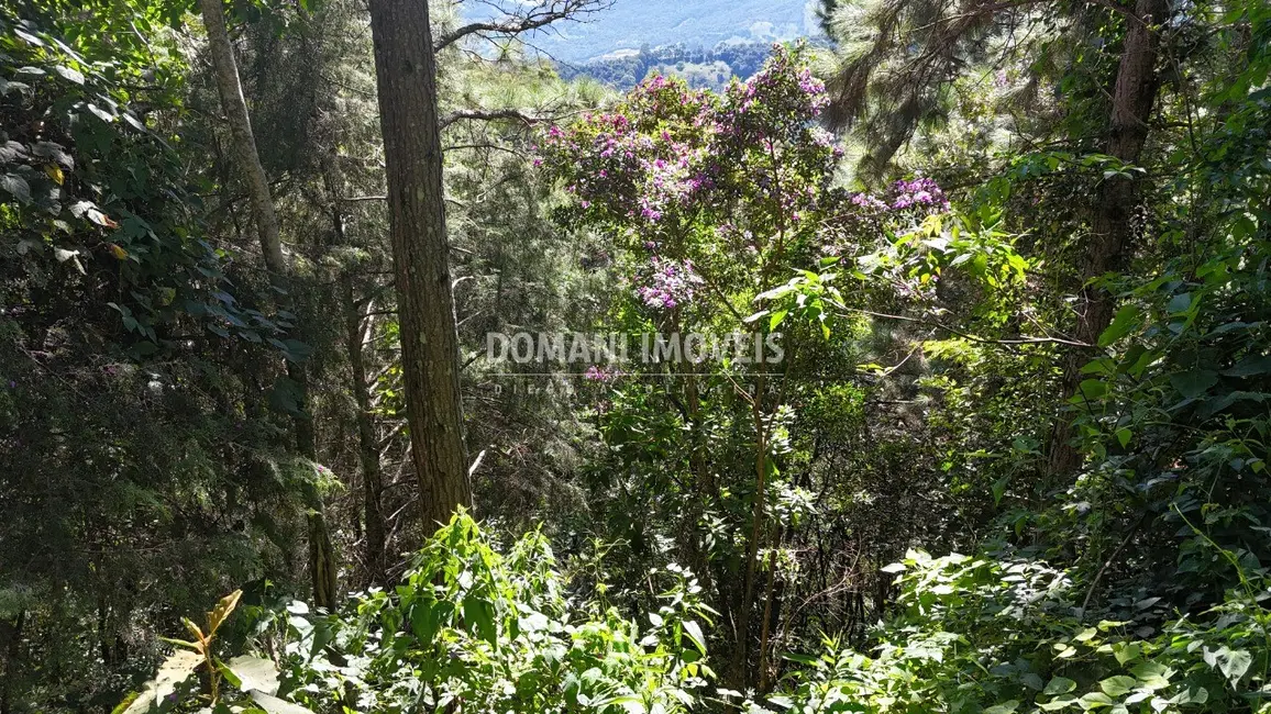 Foto 4 de Terreno / Lote à venda, 1030m2 em Campos Do Jordao - SP