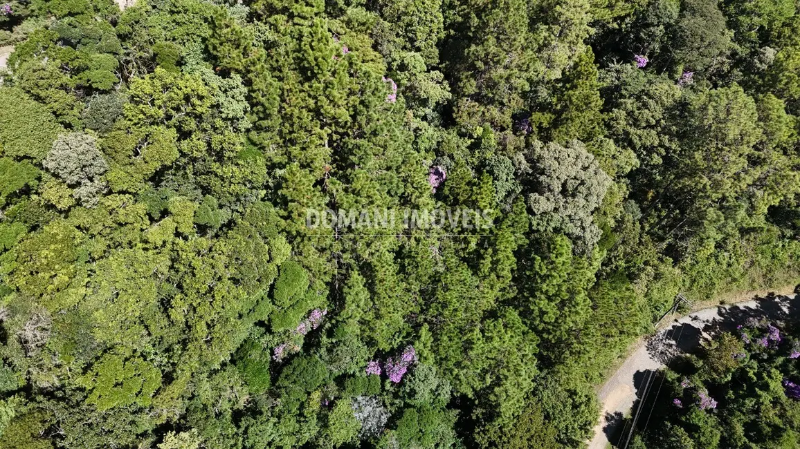 Foto 5 de Terreno / Lote à venda, 1030m2 em Campos Do Jordao - SP