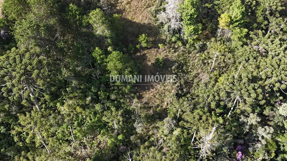 Foto 5 de Terreno / Lote à venda, 1185m2 em Campos Do Jordao - SP