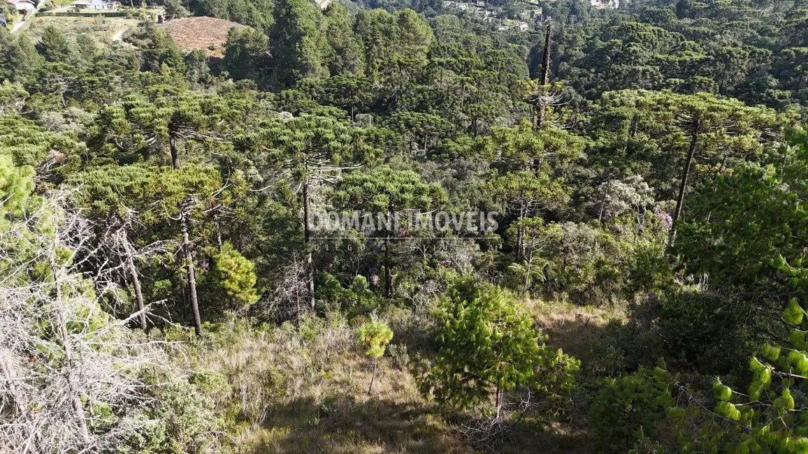 Foto 6 de Terreno / Lote à venda, 1185m2 em Campos Do Jordao - SP