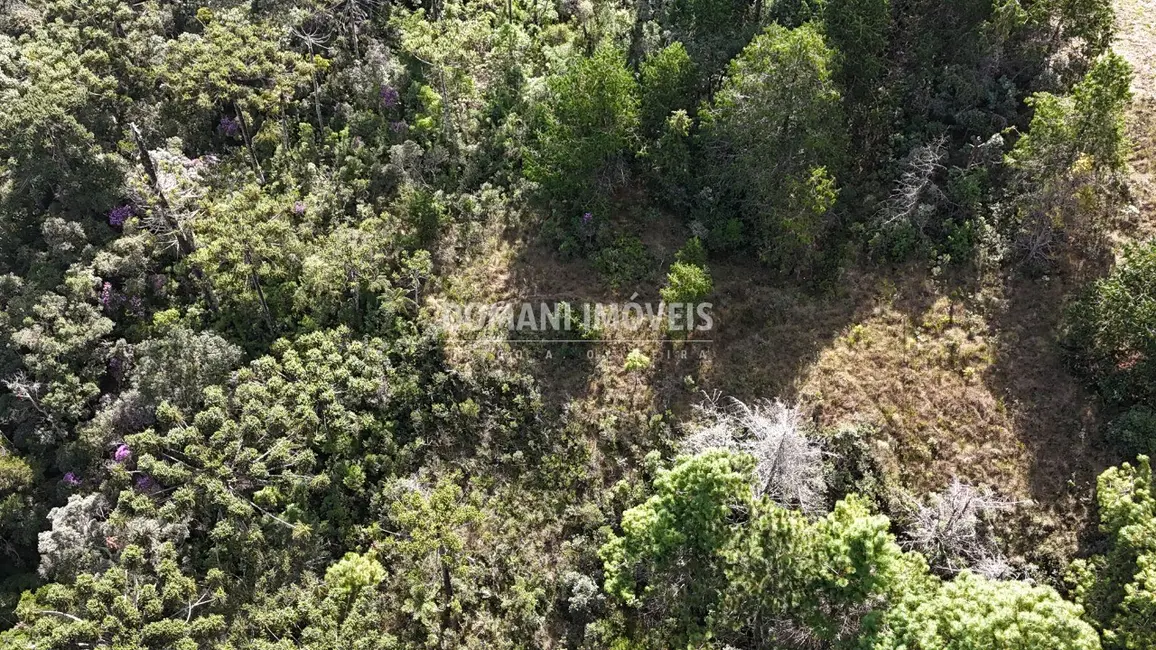 Foto 9 de Terreno / Lote à venda, 1185m2 em Campos Do Jordao - SP