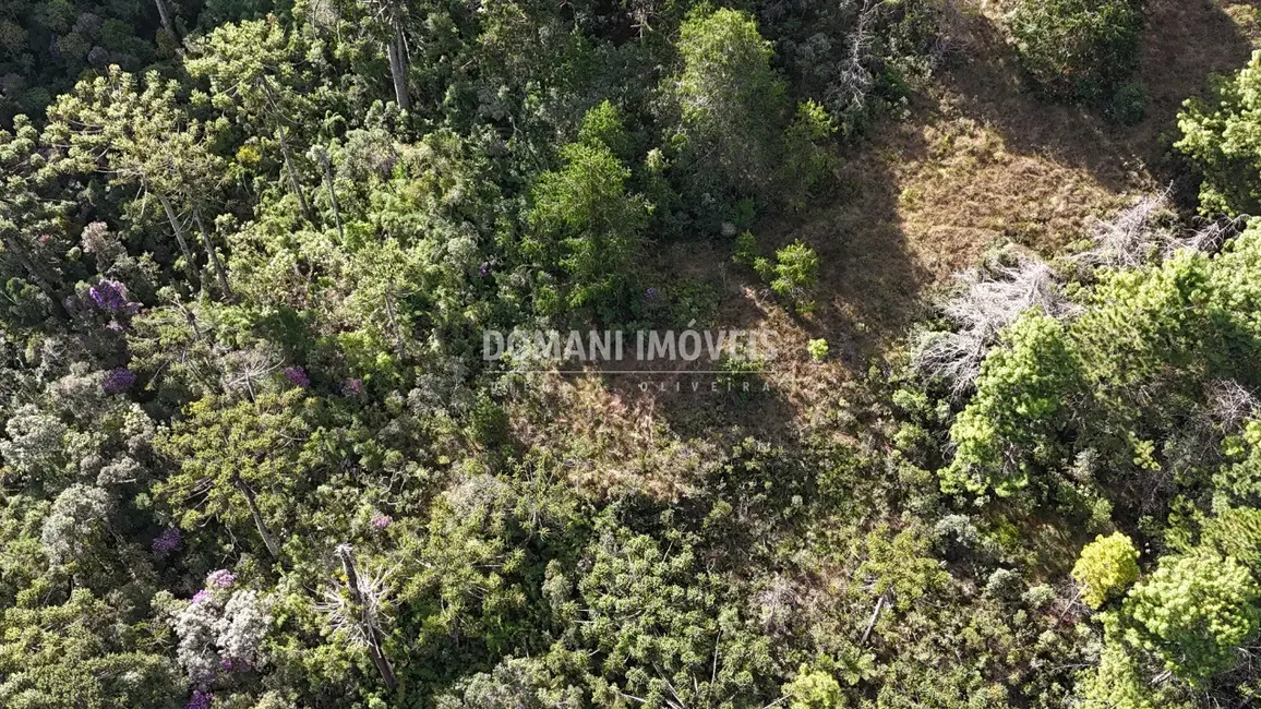 Foto 2 de Terreno / Lote à venda, 1185m2 em Campos Do Jordao - SP