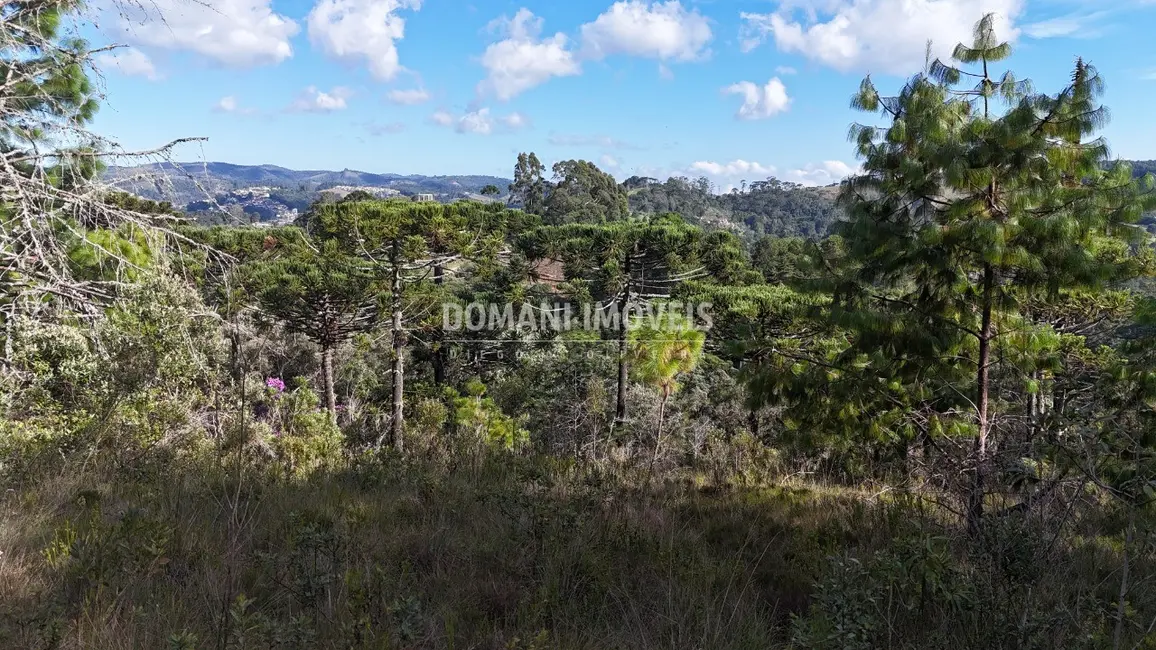 Foto 1 de Terreno / Lote à venda, 1185m2 em Campos Do Jordao - SP
