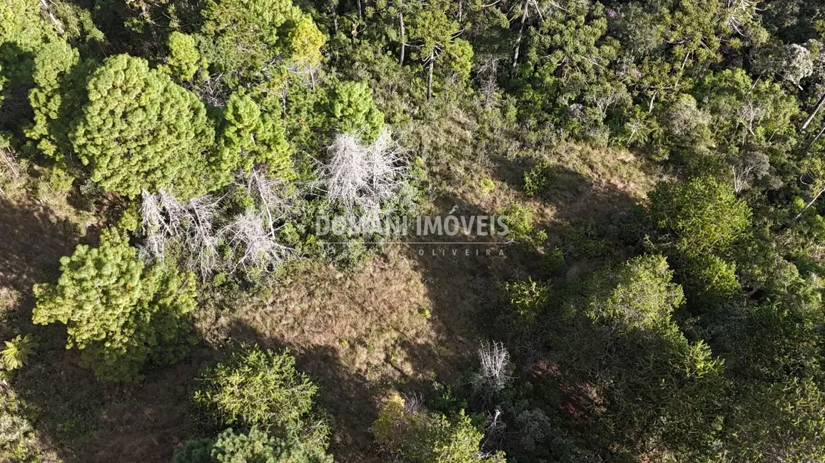 Foto 8 de Terreno / Lote à venda, 1185m2 em Campos Do Jordao - SP