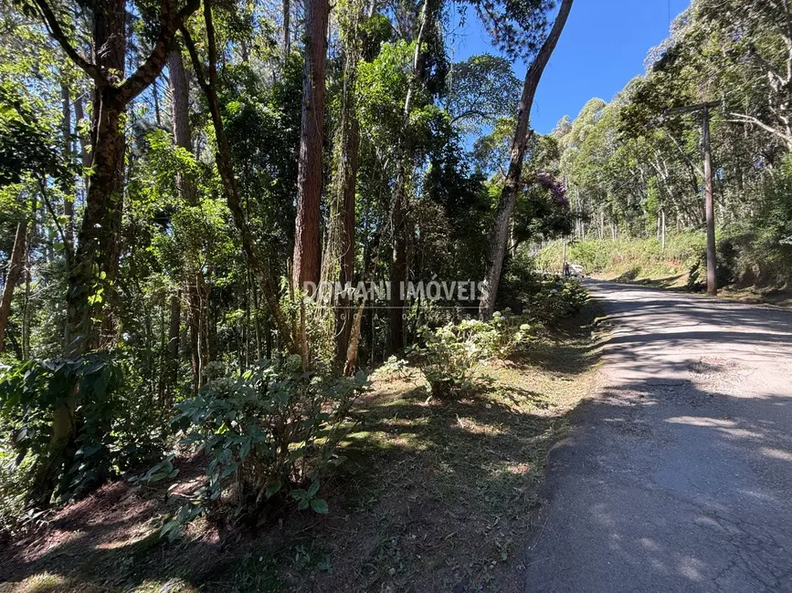Foto 6 de Terreno / Lote à venda, 1310m2 em Campos Do Jordao - SP
