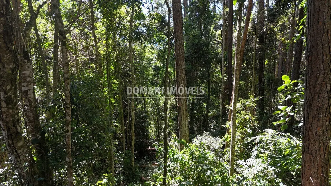 Foto 7 de Terreno / Lote à venda, 1310m2 em Campos Do Jordao - SP