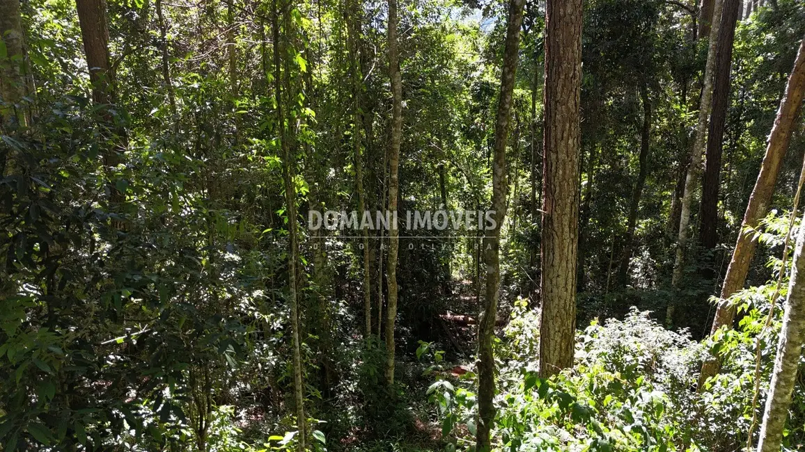 Foto 4 de Terreno / Lote à venda, 1310m2 em Campos Do Jordao - SP