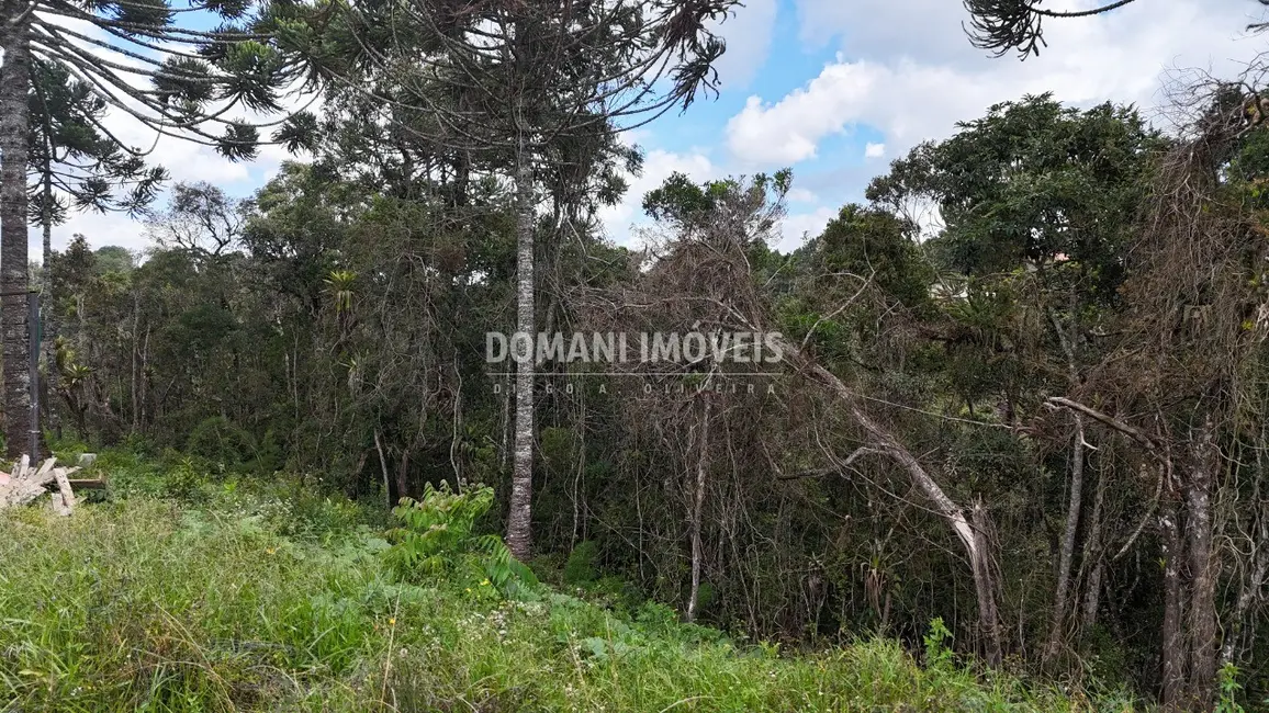 Foto 7 de Terreno / Lote à venda, 1180m2 em Campos Do Jordao - SP