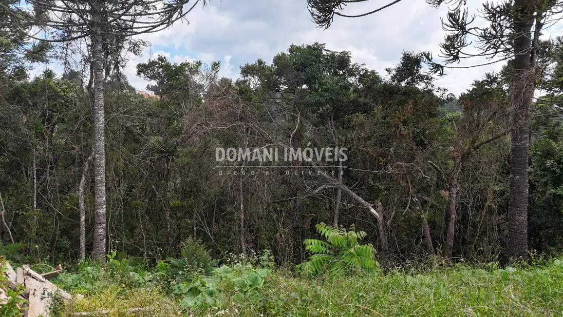 Foto 8 de Terreno / Lote à venda, 1180m2 em Campos Do Jordao - SP