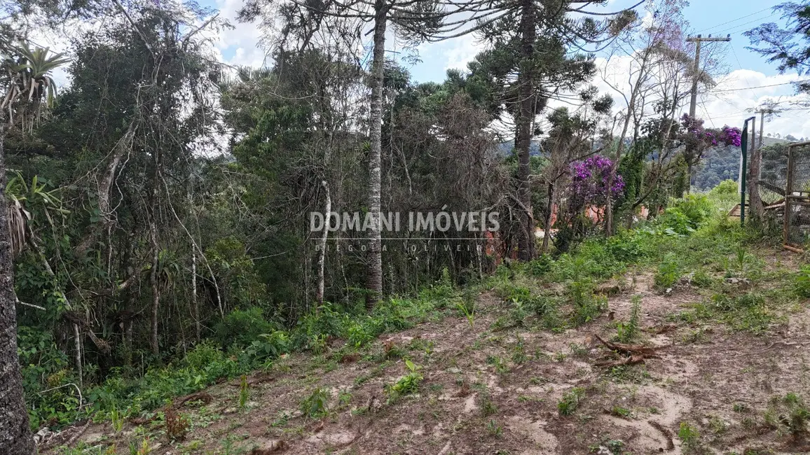 Foto 5 de Terreno / Lote à venda, 1180m2 em Campos Do Jordao - SP