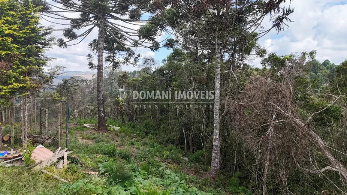 Foto 4 de Terreno / Lote à venda, 1180m2 em Campos Do Jordao - SP
