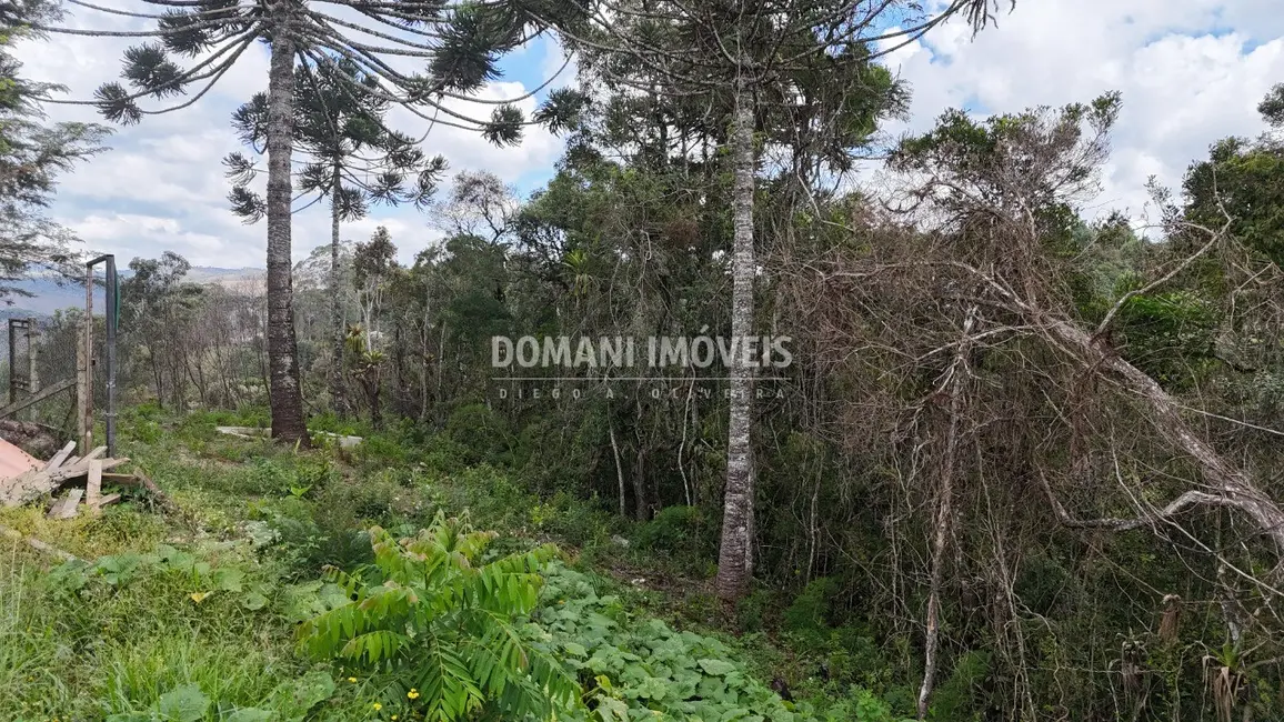 Foto 1 de Terreno / Lote à venda, 1180m2 em Campos Do Jordao - SP