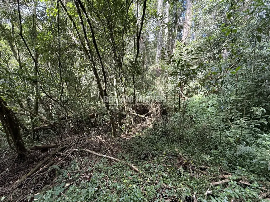 Foto 2 de Terreno / Lote à venda, 1357m2 em Campos Do Jordao - SP