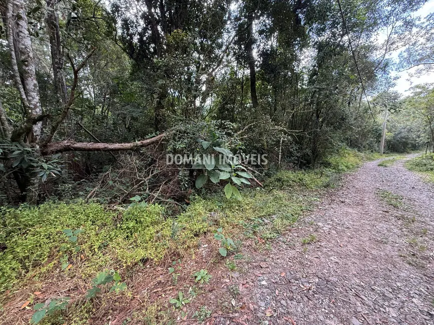 Foto 9 de Terreno / Lote à venda, 1357m2 em Campos Do Jordao - SP