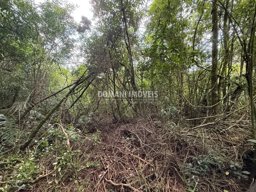 Foto 5 de Terreno / Lote à venda, 1357m2 em Campos Do Jordao - SP