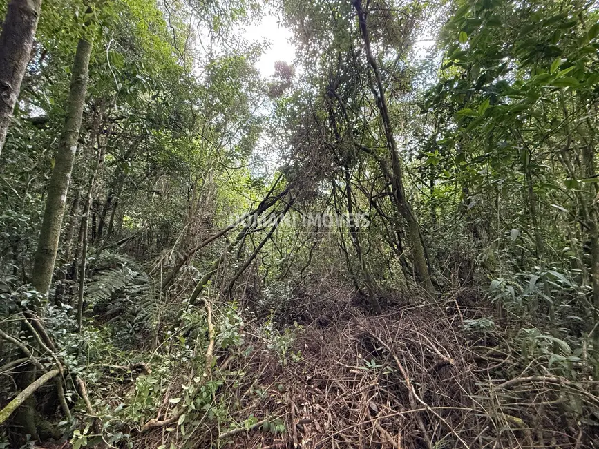 Foto 4 de Terreno / Lote à venda, 1357m2 em Campos Do Jordao - SP