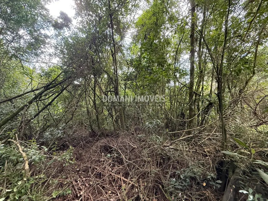 Foto 6 de Terreno / Lote à venda, 1357m2 em Campos Do Jordao - SP