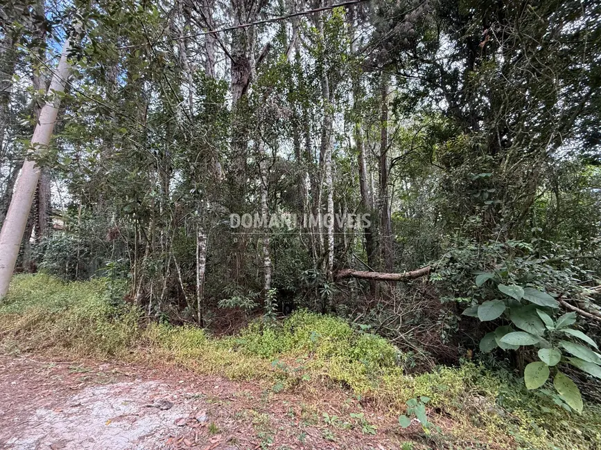 Foto 8 de Terreno / Lote à venda, 1357m2 em Campos Do Jordao - SP