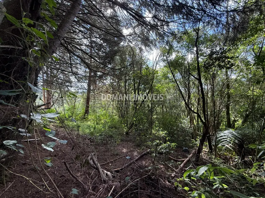 Foto 1 de Terreno / Lote à venda, 1357m2 em Campos Do Jordao - SP
