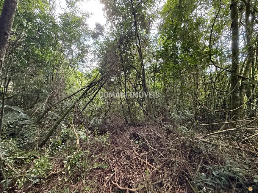 Foto 3 de Terreno / Lote à venda, 1357m2 em Campos Do Jordao - SP