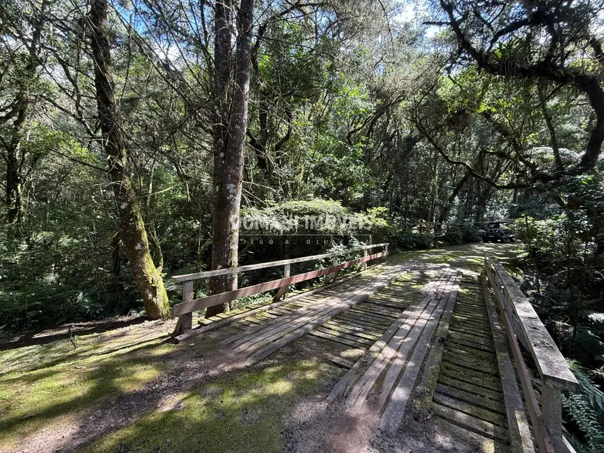 Foto 8 de Terreno / Lote à venda, 2500m2 em Campos Do Jordao - SP