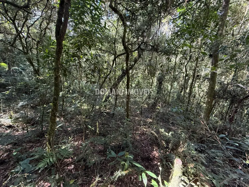 Foto 4 de Terreno / Lote à venda, 2500m2 em Campos Do Jordao - SP