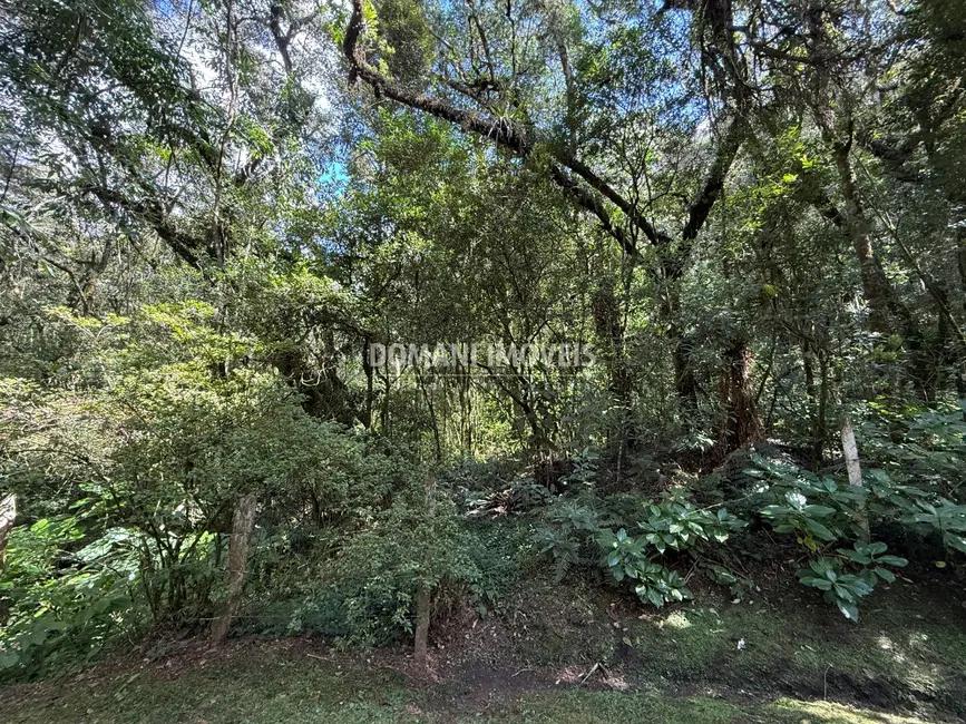 Foto 6 de Terreno / Lote à venda, 2500m2 em Campos Do Jordao - SP